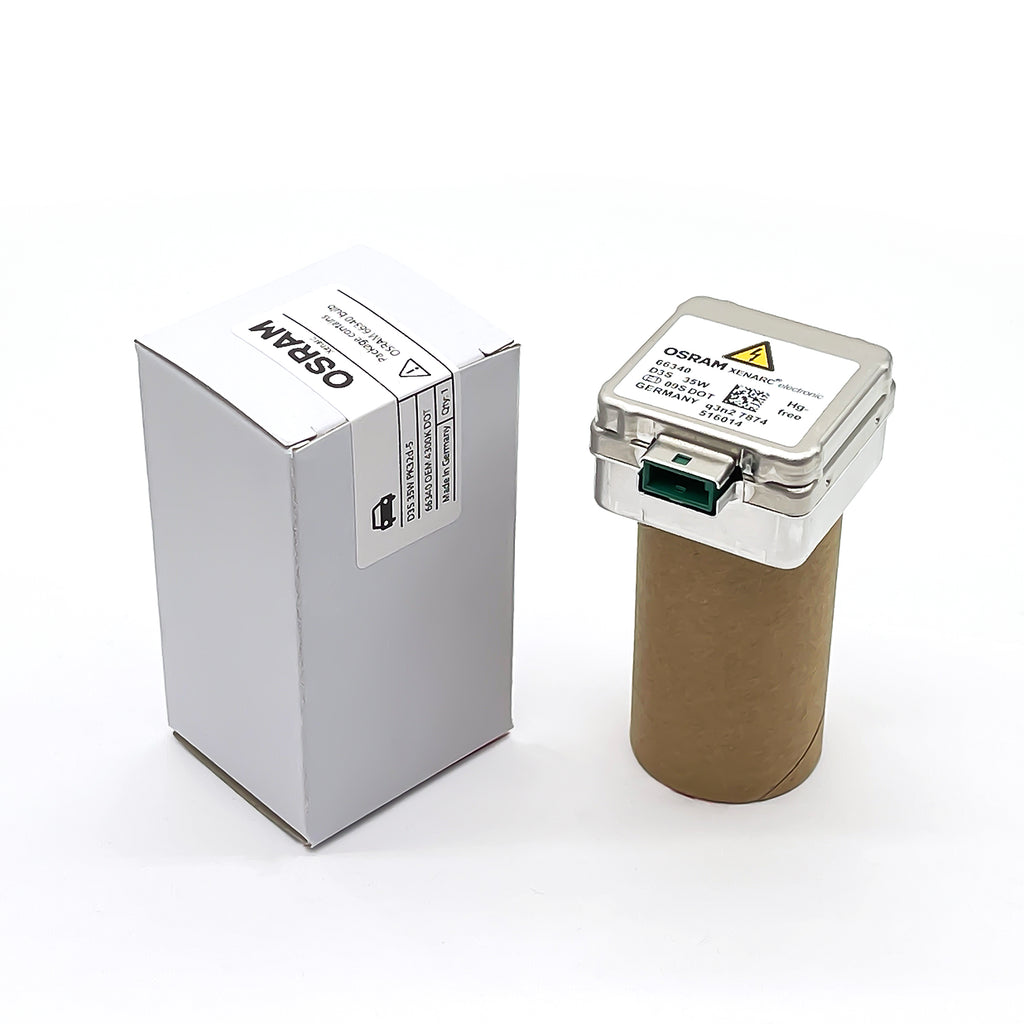 化石　D-3 3億年前の大型ヤスデの化石、おそらく新種 | ナショナル ジオ